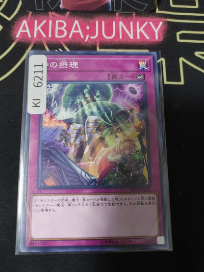 Ultimate Providence Yugioh SR05-JP039 Yu-Gi-Oh Konami OCG JAPAN