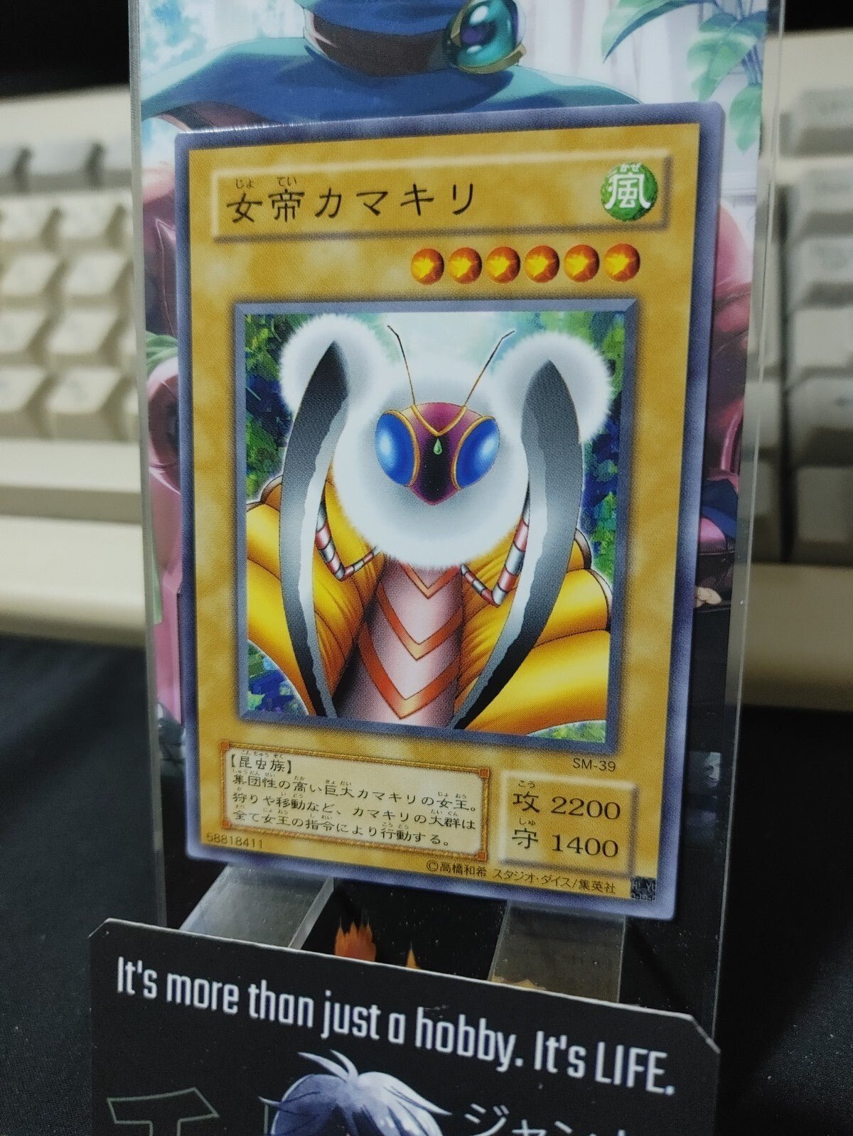 47434541