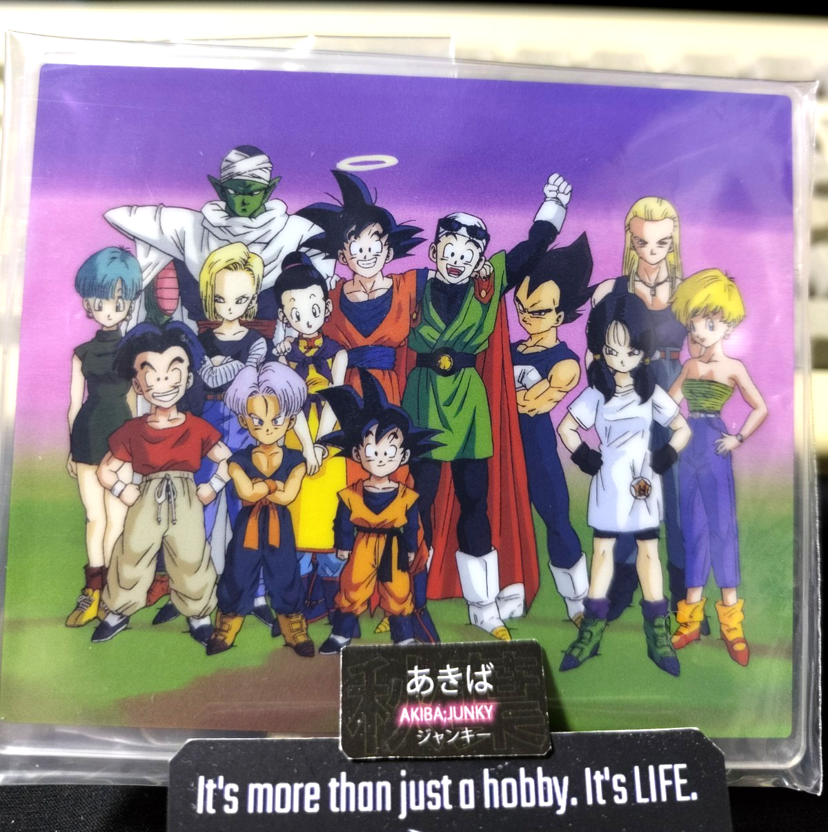 Dragon Ball Anime Acrylic Display Group Goku Gohan Videl Trunks Krillin F JAPAN