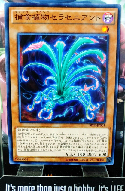 47425574