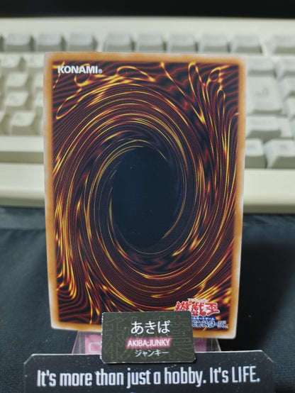 47429694