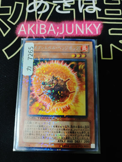 47435044