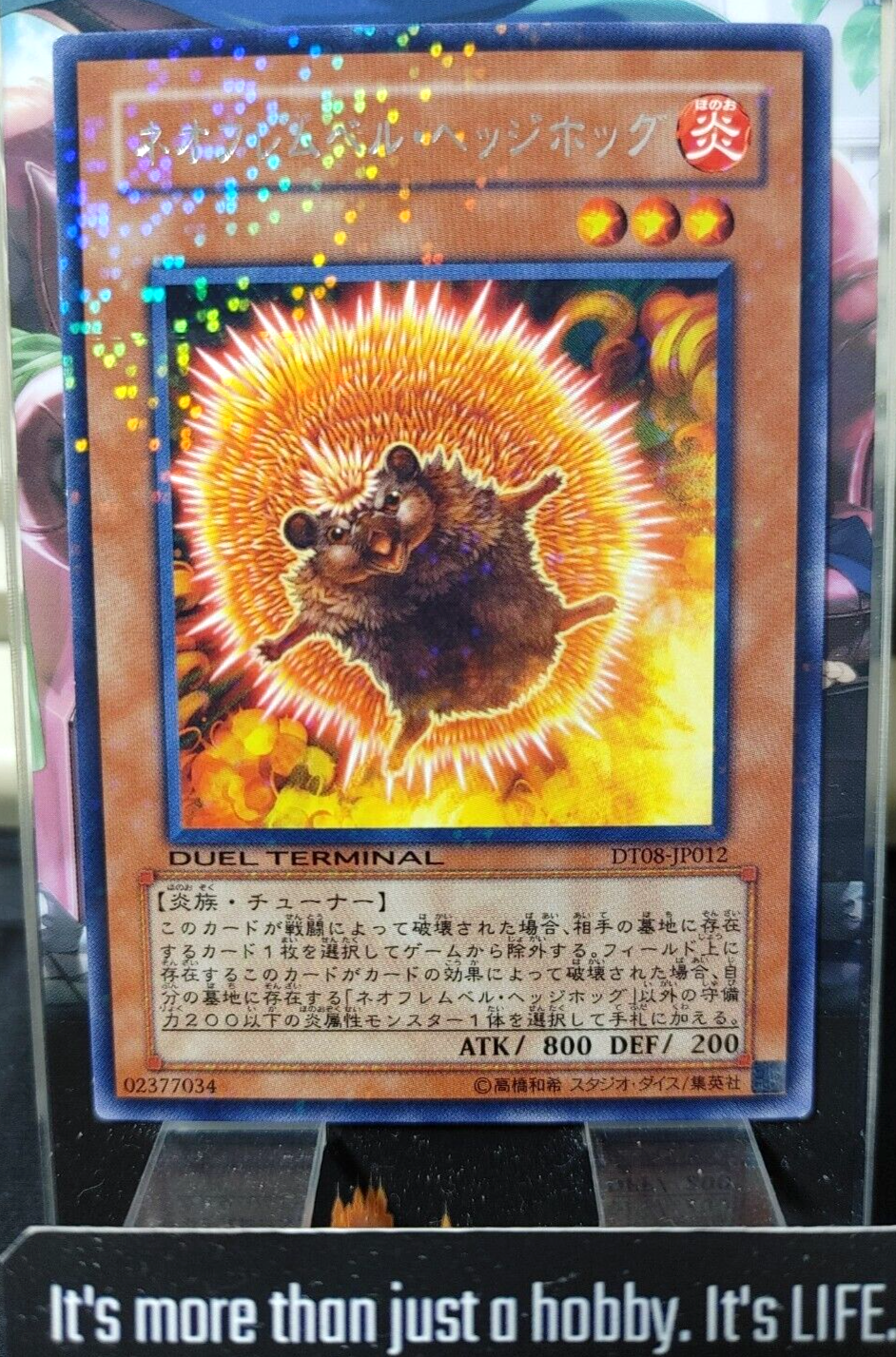47435044