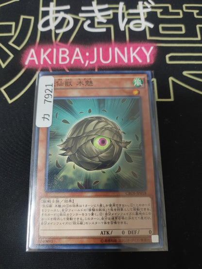 47431280