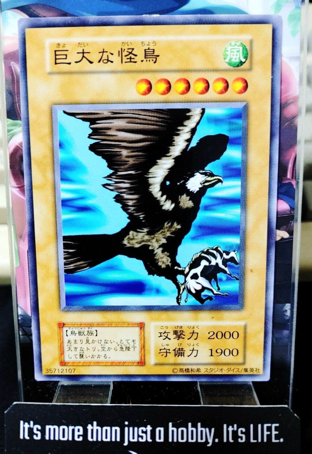 47435311