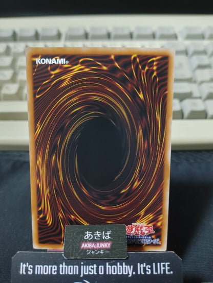 Raise Moon Blade Shayna Yugioh DBGV-JP019 Yu-Gi-Oh Konami OCG JAPAN