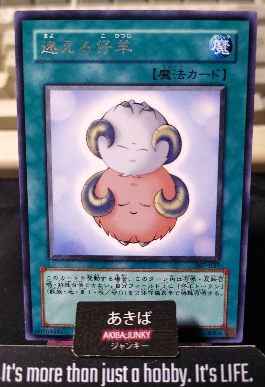 Stray Lambs Yugioh 307-037 Rare Konami OCG JAPAN