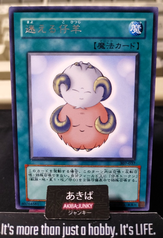 Stray Lambs Yugioh 307-037 Rare Konami OCG JAPAN
