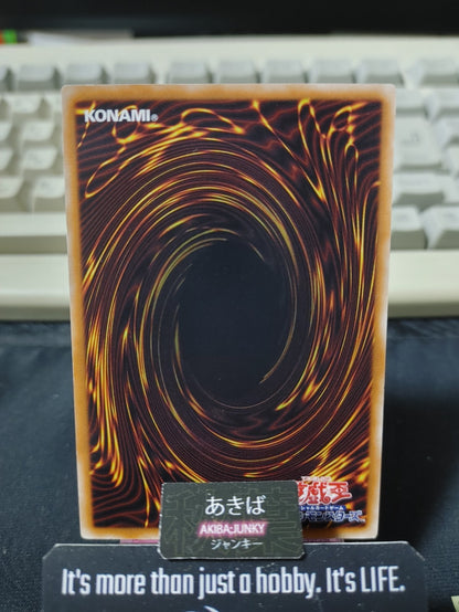 Brotherhood of the Fire Fist - Rhino Yugioh LTGY-JP028 Konami OCG JAPAN