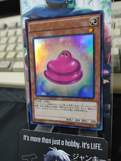 47429023