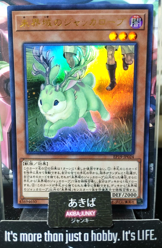47424807