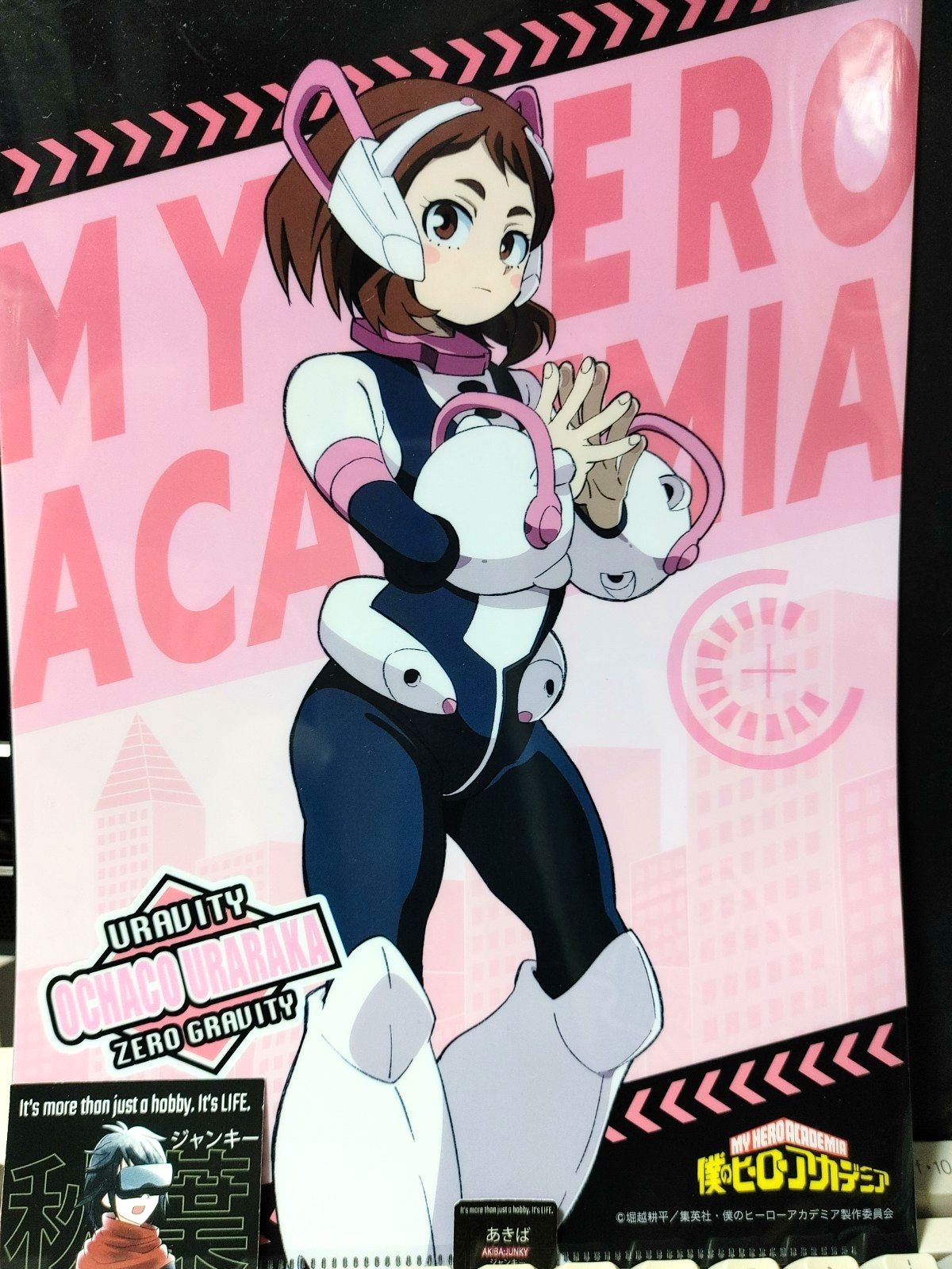 My Hero Academia Midoriya Uraraka Collectible Design Clear File JAPAN