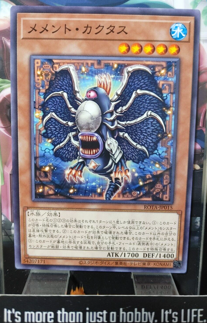 47427429
