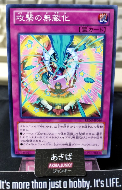 47430065