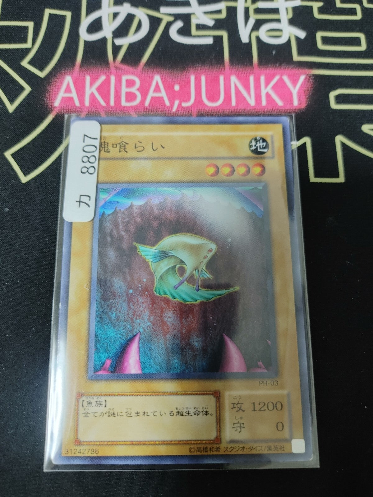 47427405
