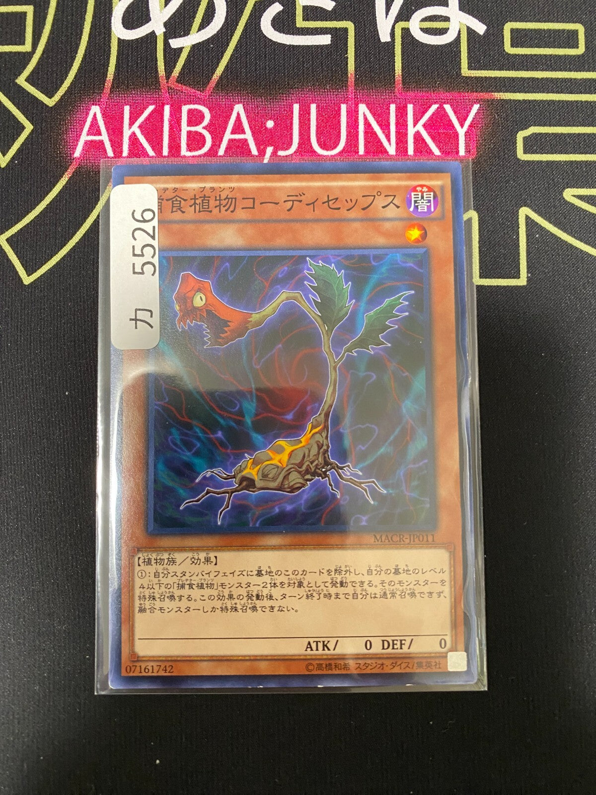 47425518