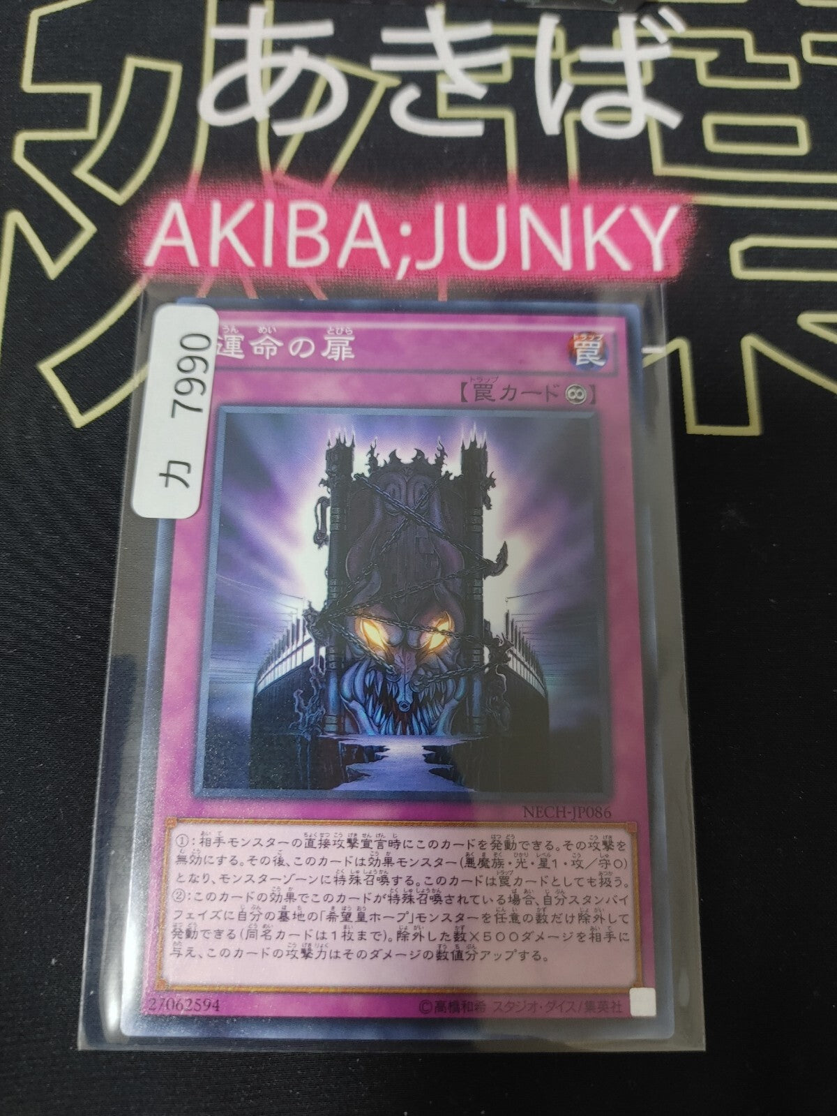 47425504