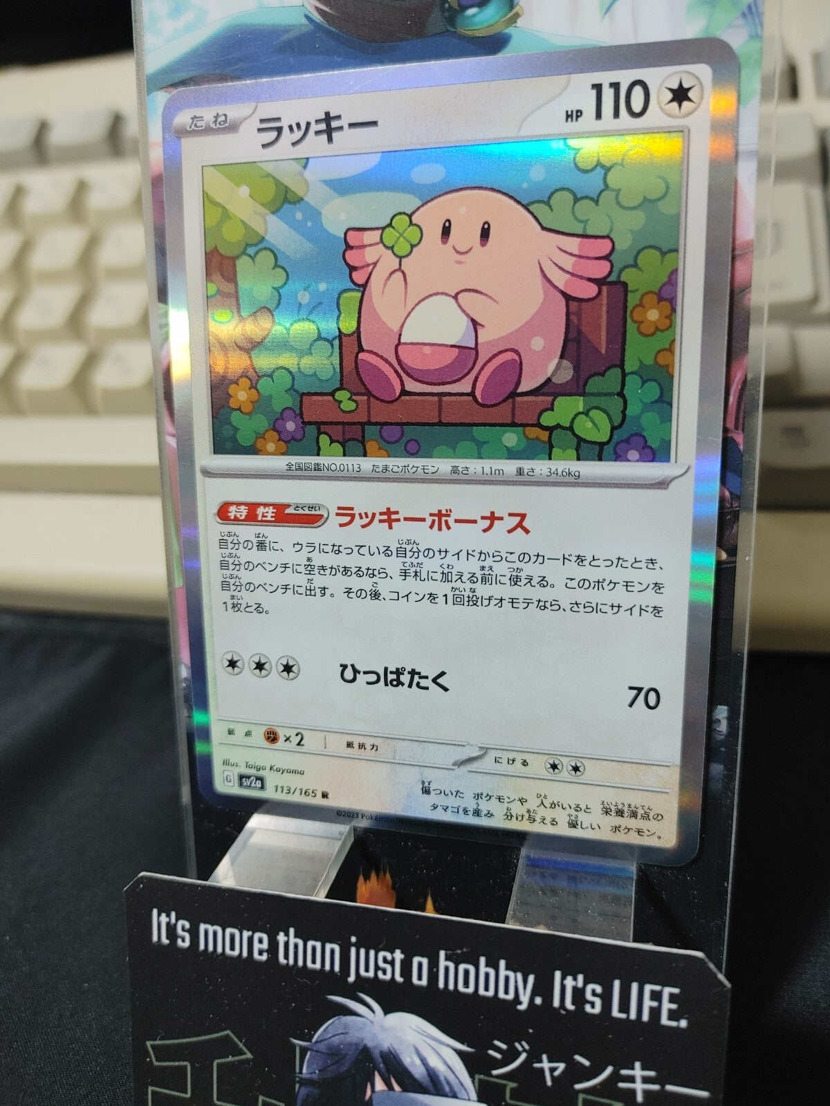 47427637