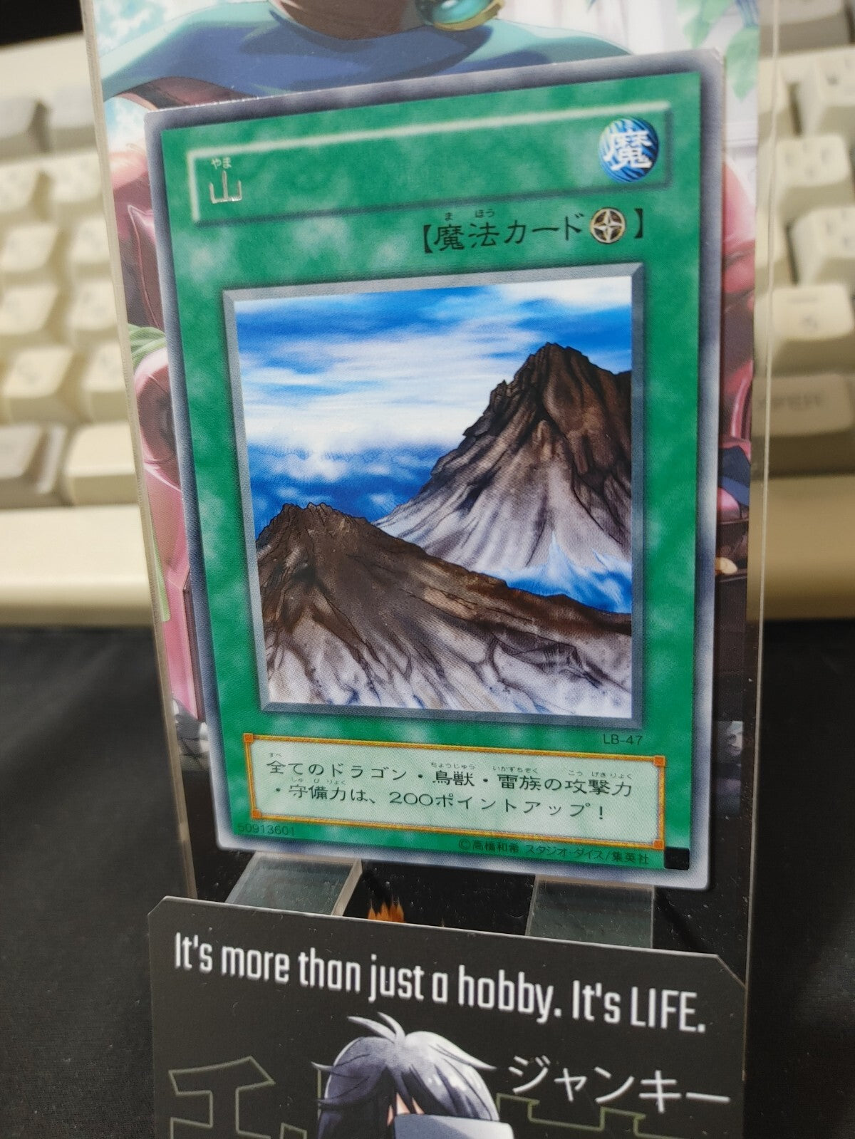 47429257