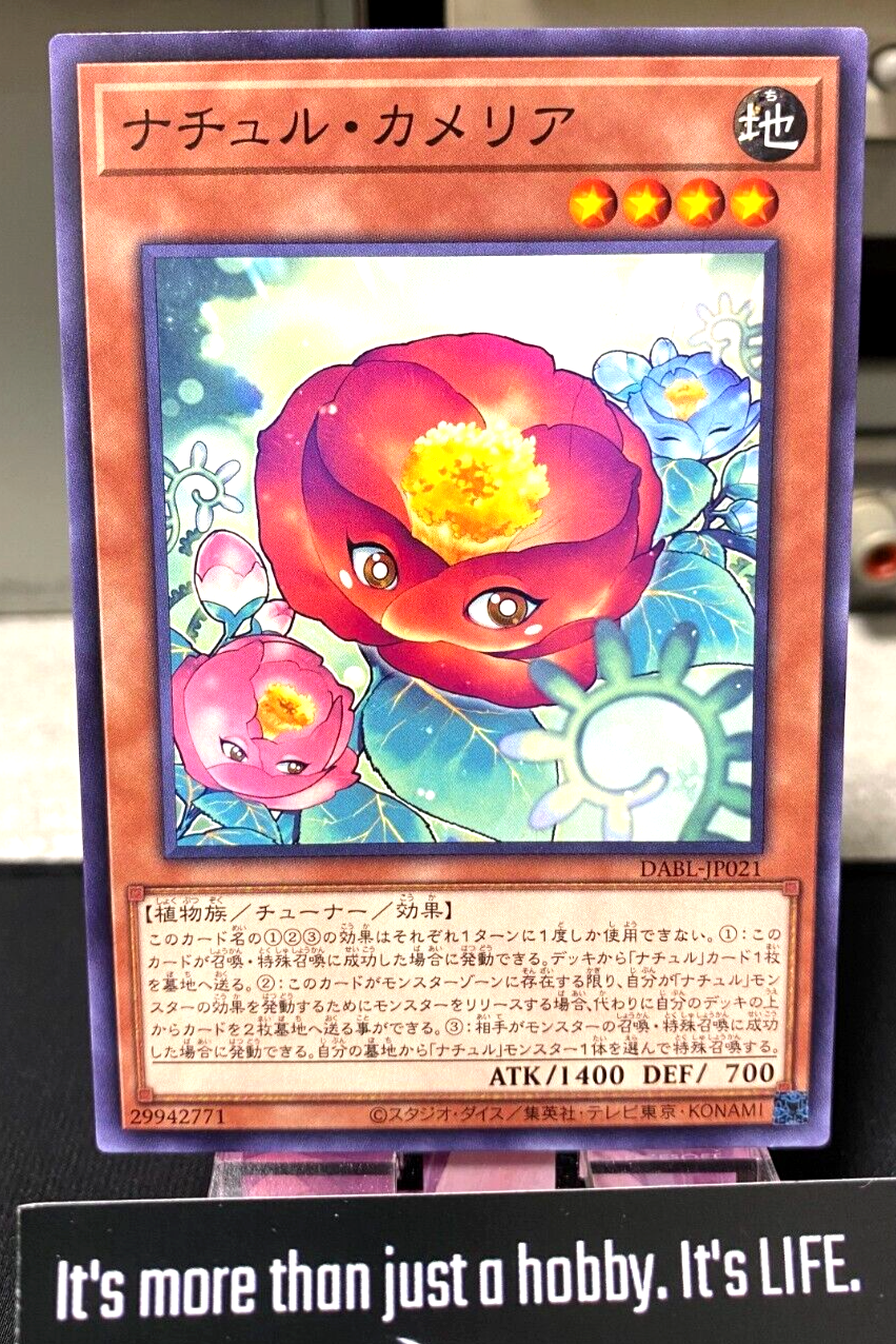 47425398