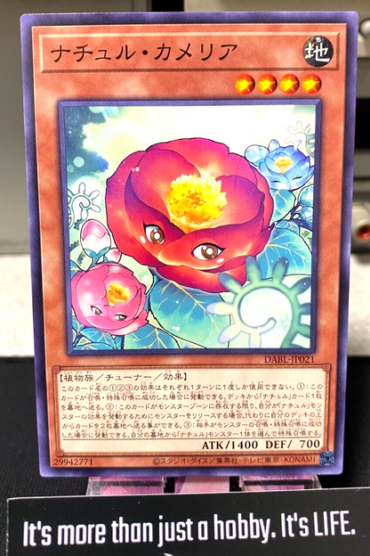 47425398