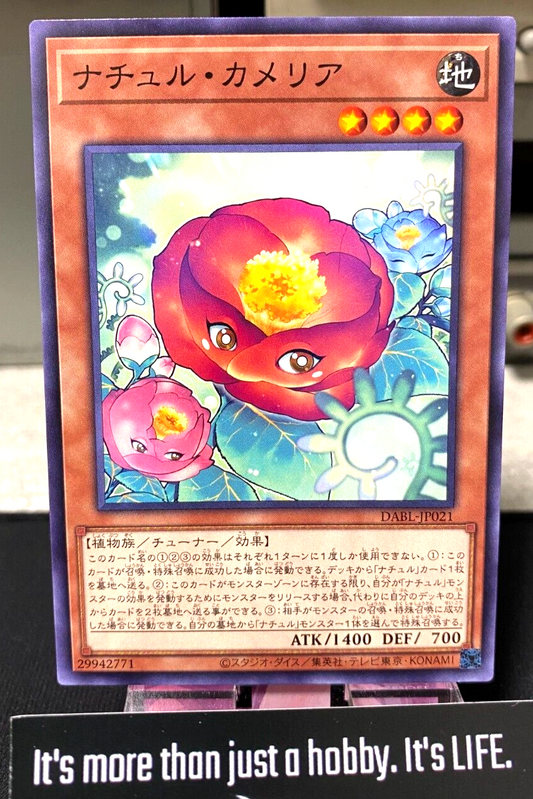 47425398
