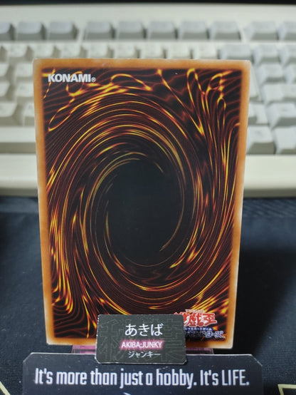 Extra-Foolish Burial Yugioh DBGI-JP043 Parallel Rare Konami OCG JAPAN