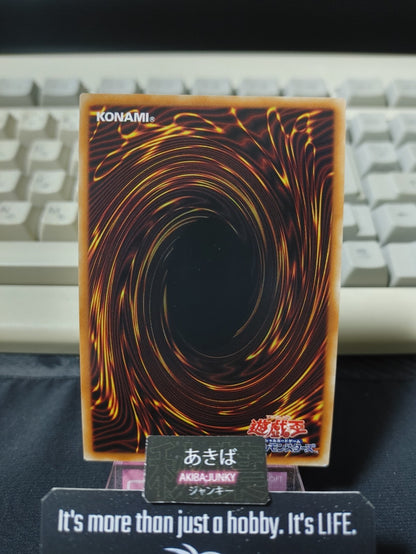 47425458
