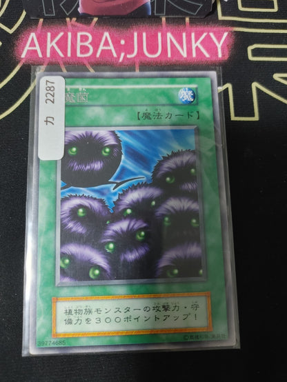 Vile Germs Rare Yugioh Yu-Gi-Oh Konami OCG JAPAN