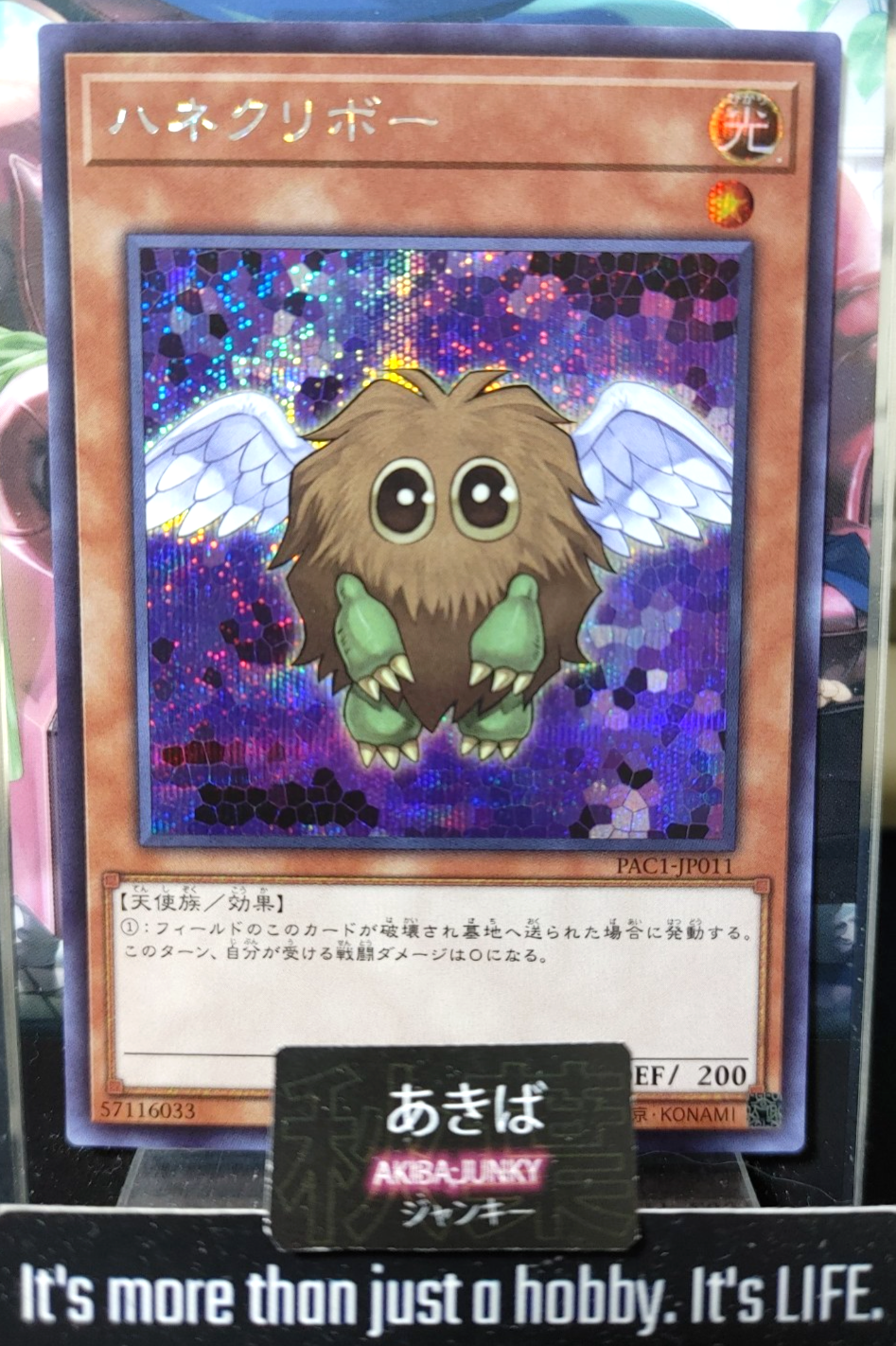 47431561