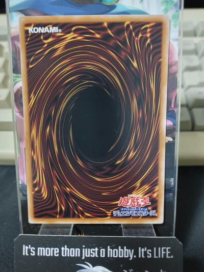47437004