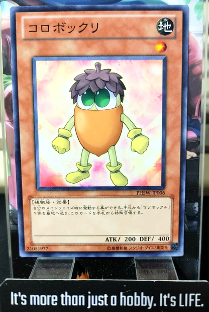 47436260