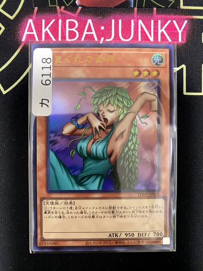 47429620