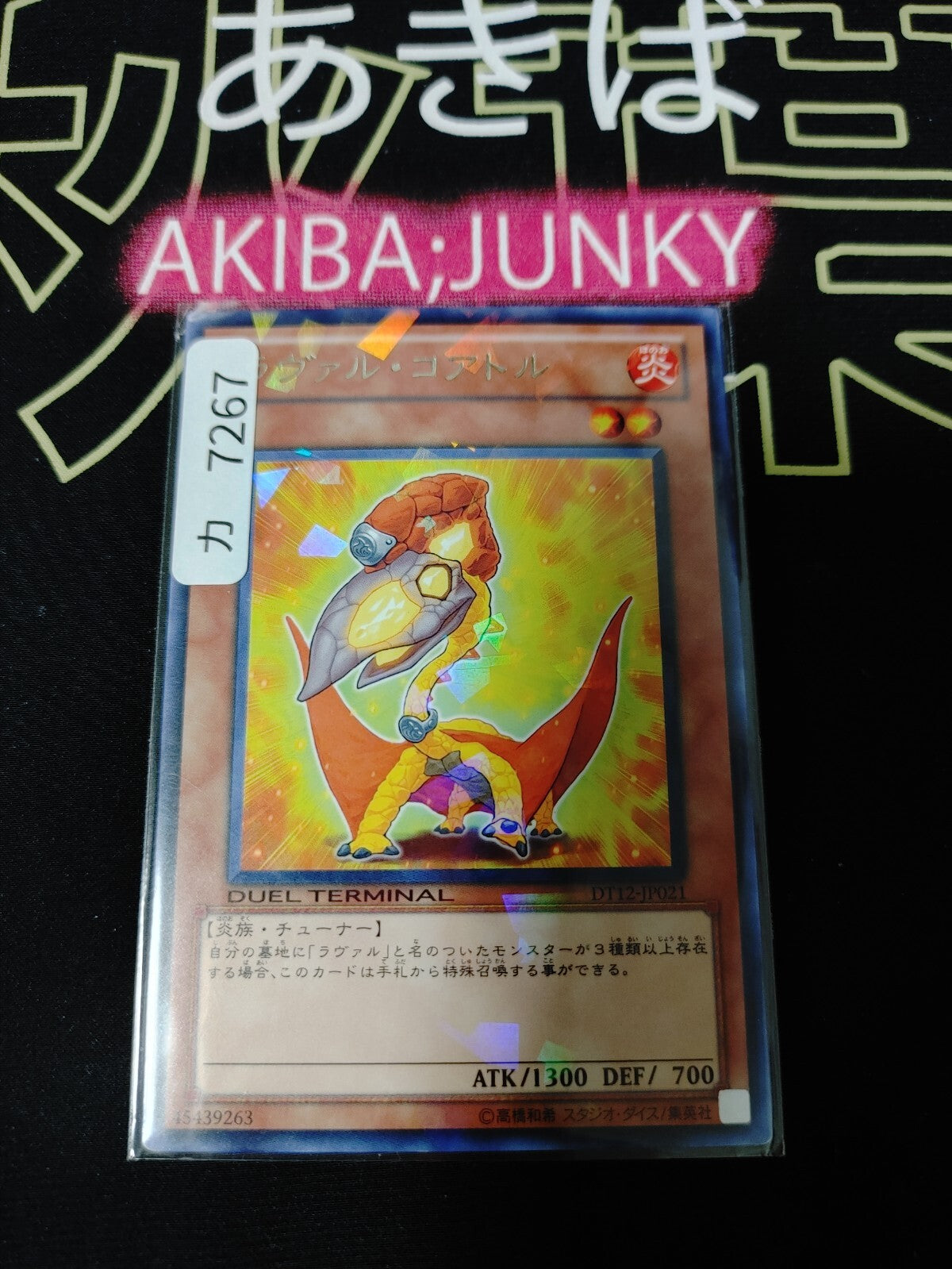47435046