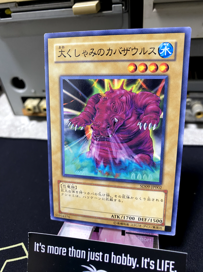 47430034