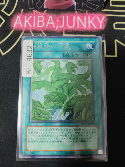 Raging Mad Plants Yugioh SOVR-JP060 Rare Konami OCG JAPAN