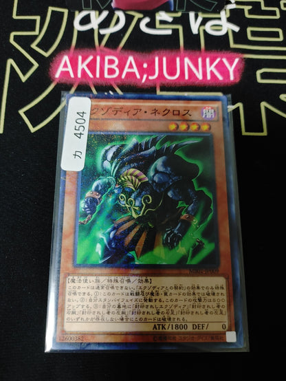 47435406