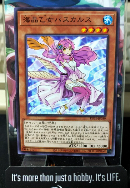 47431264