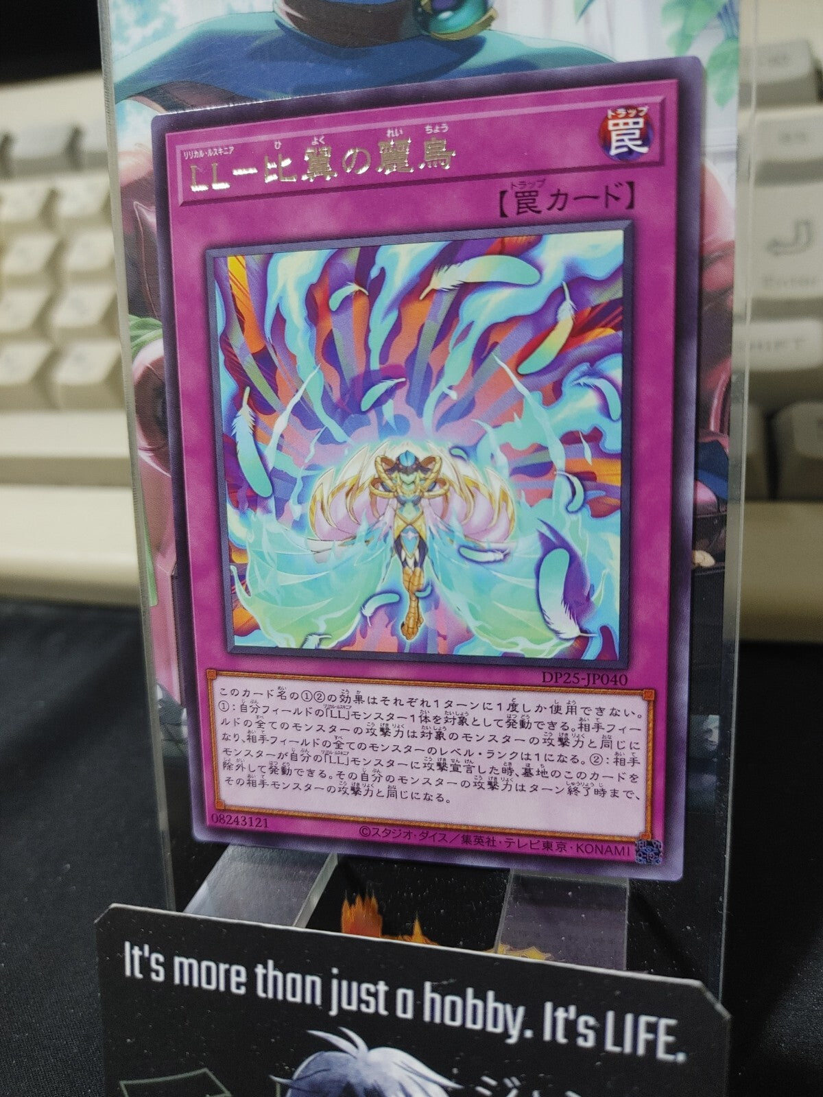 47431534