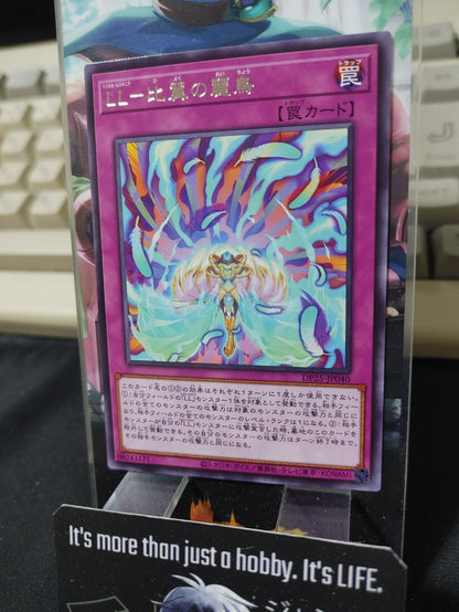 47431534