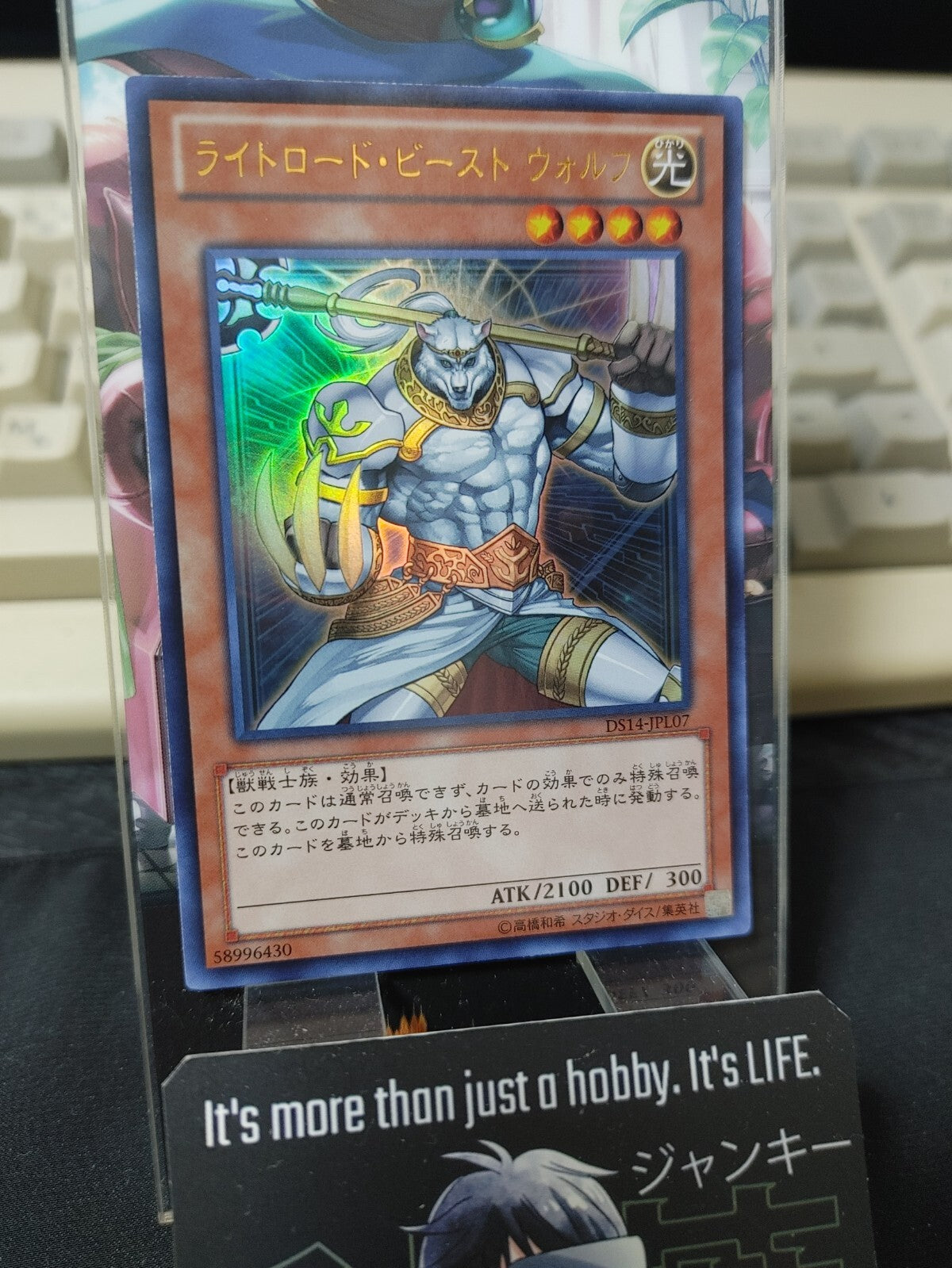 47428043