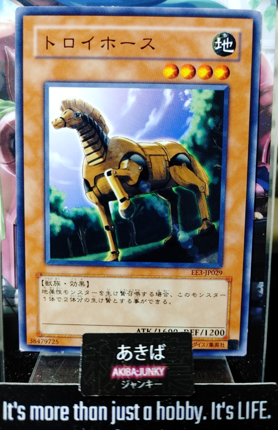 47427446