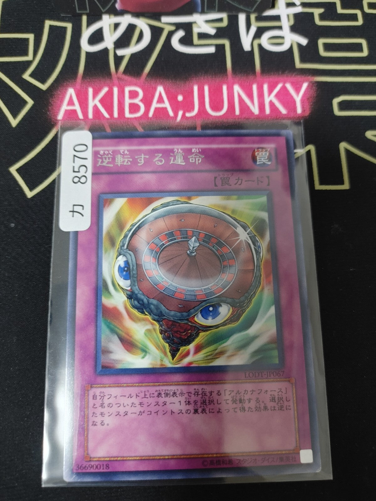 47436242