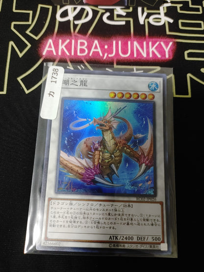47430007