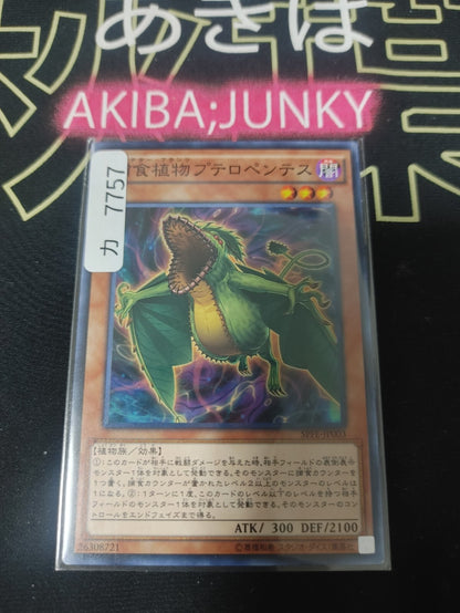 47425567