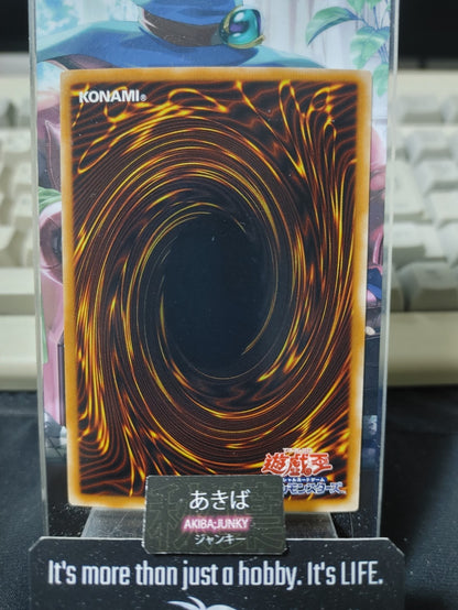 47423453