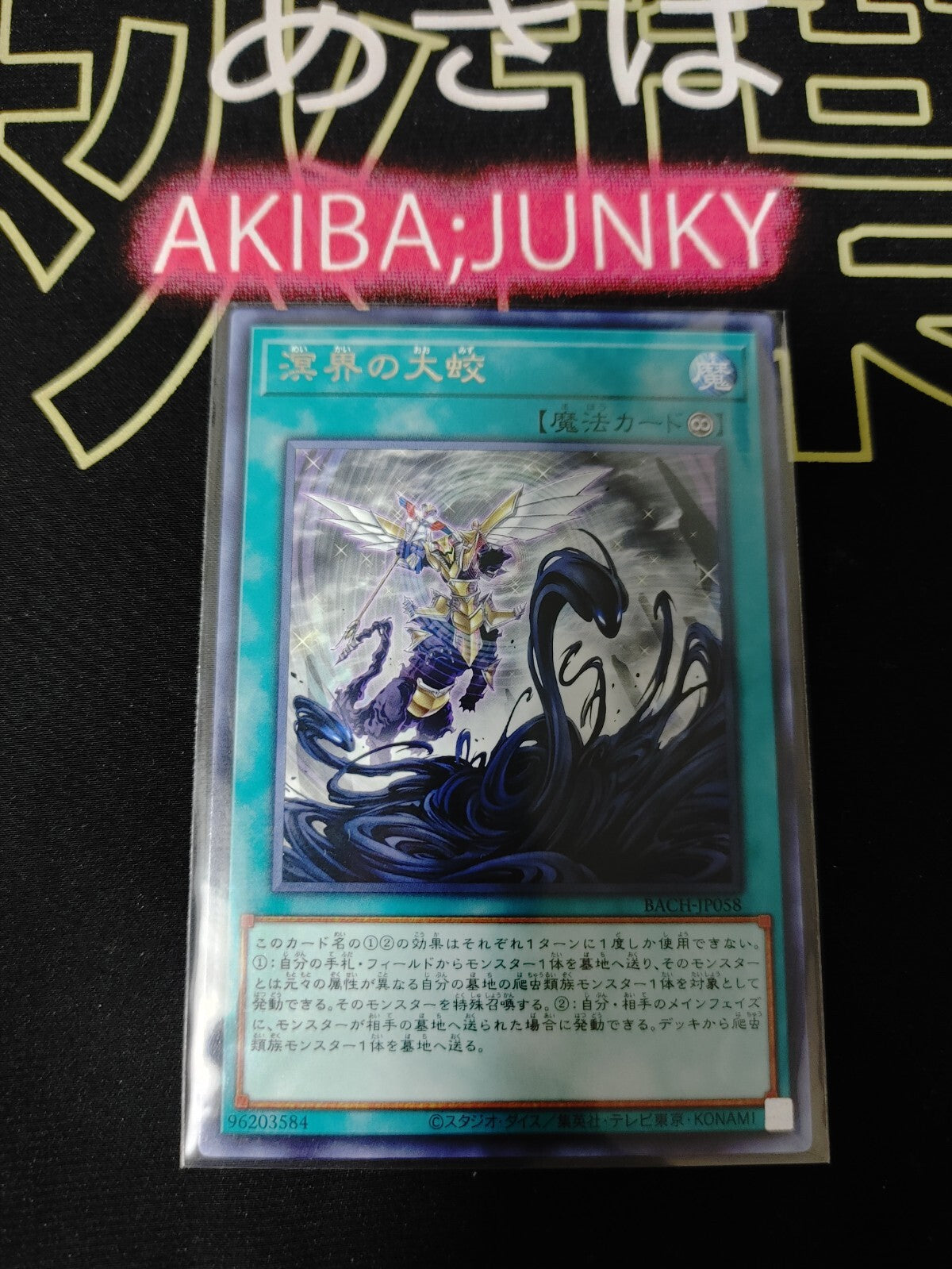 47429231