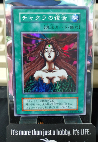 47424074