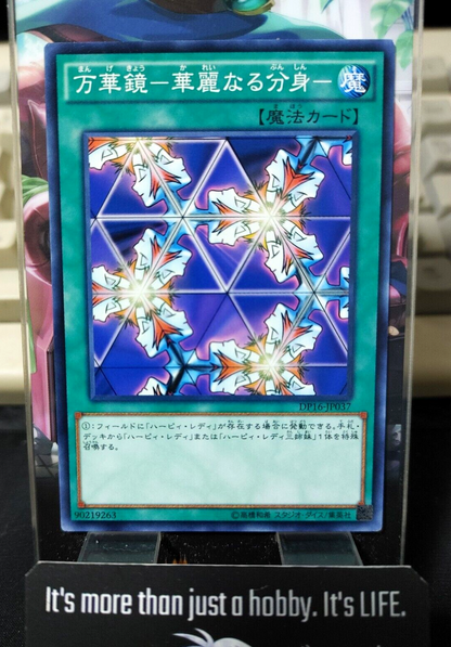47426213