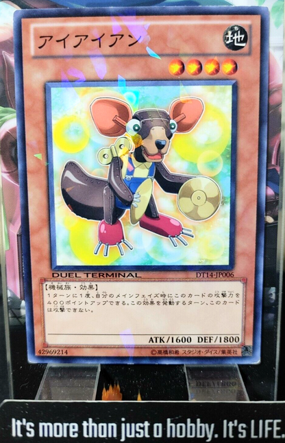 47435043